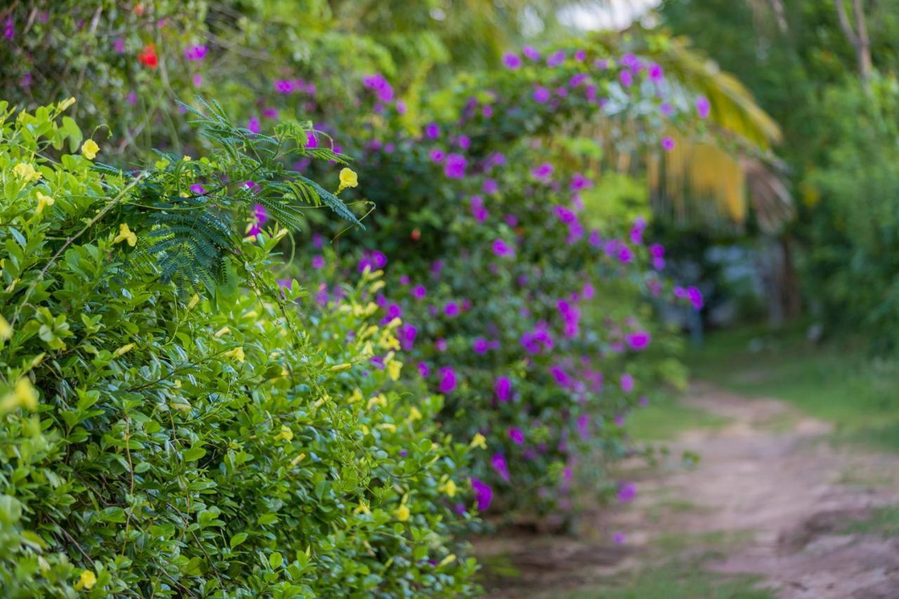 Rock Violet Lakefront Cabanas & Restaurent Tangalle Exteriér fotografie