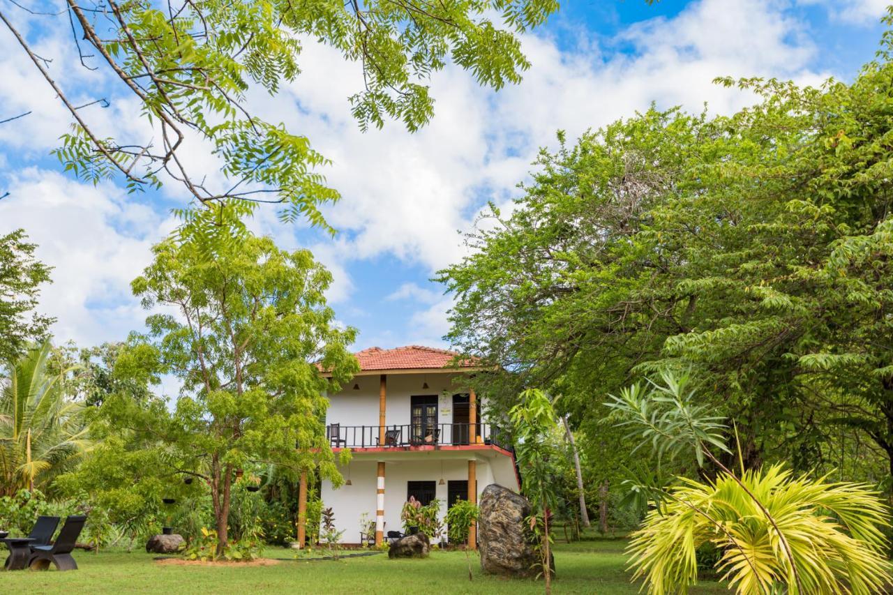 Rock Violet Lakefront Cabanas & Restaurent Tangalle Exteriér fotografie